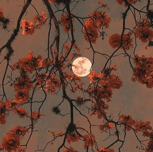 Meet your Posher, Sunnie